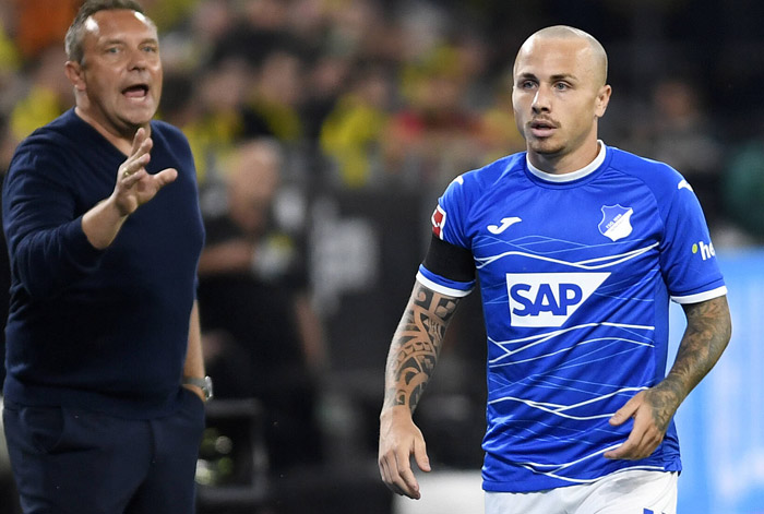 Hoffenheim Mainz Tipp