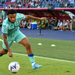 Atalanta Bergamo Fiorentina Tipp