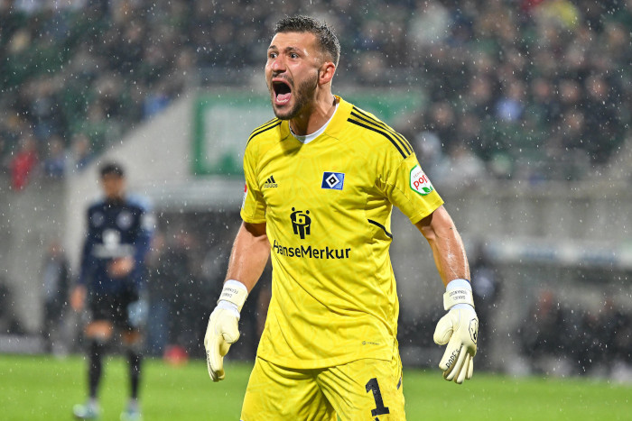 Daniel Heuer Fernandes Hamburger SV TIpp