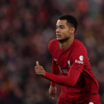 Brighton Liverpool Tipp