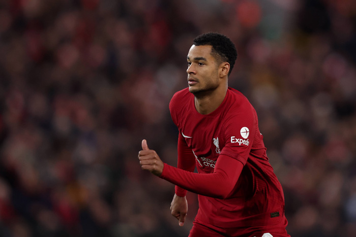 Brighton Liverpool Tipp