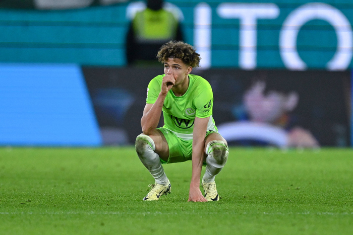 Wolfsburg vs. Hoffenheim Tipp