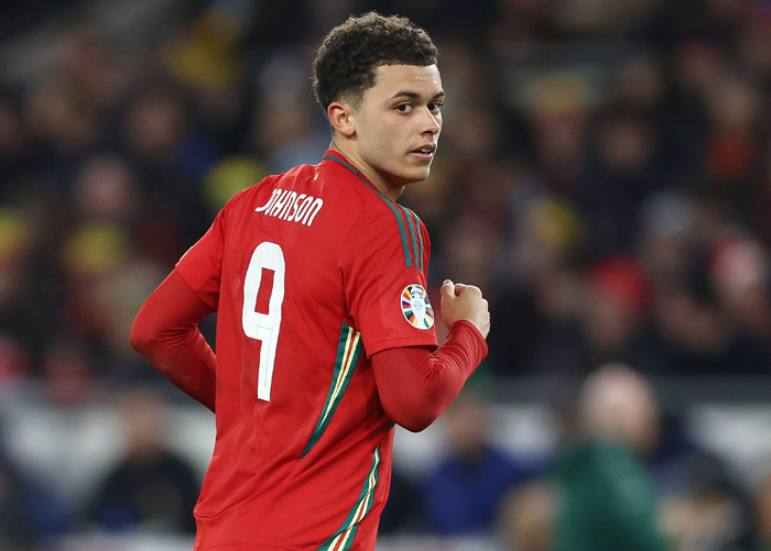 Wales vs. Polen Tipp