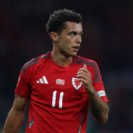 Island vs. Wales Tipp