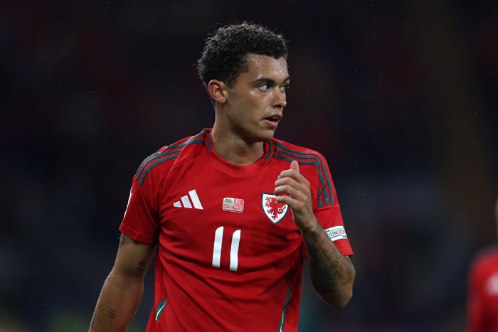 Island vs. Wales Tipp